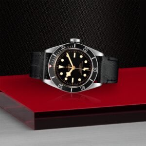 TUDOR BLACK BAY 54 MASTER ORIGINAL