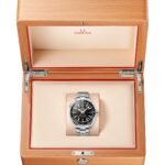 Omega Planet Ocean GMT