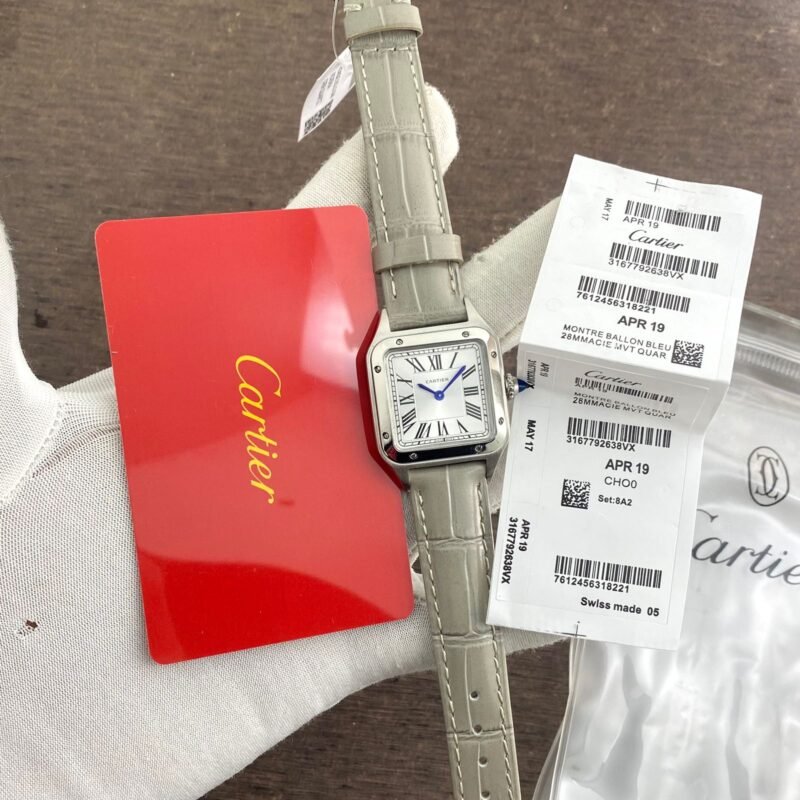 IMG-20241006-WA0126.jpg CARTIER Santos Dumont LAQUER