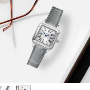CARTIER Santos Dumont LAQUER