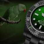 Rolex Submariner Black Grail DIW