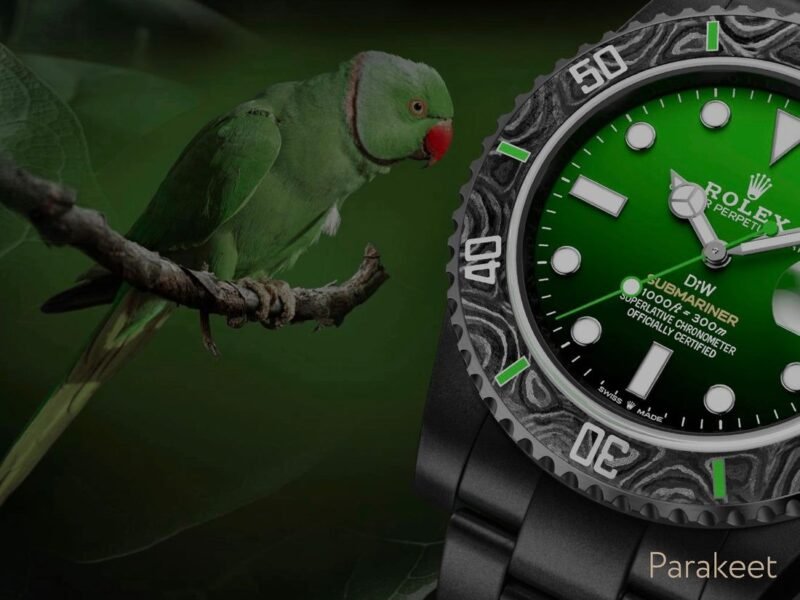 Rolex Submariner Black Grail DIW