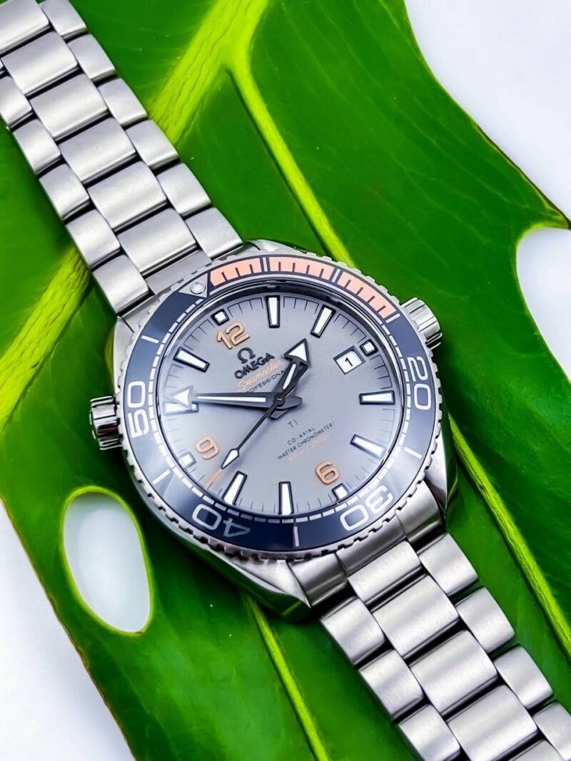 Omega Seamaster Planet Ocean