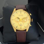 Hugo Boss Golden dial