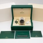Rolex Oysters SKYDWELLER Perpetual