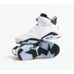 Classy Nike Air Jordan 6 Retro Reverse Oreo Shoes for Men (SW4743)
