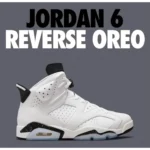 Classy Nike Air Jordan 6 Retro Reverse Oreo Shoes for Men (SW4743)
