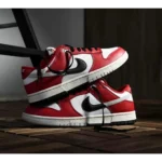 Stylish Nike Dunk Low Chicago Split Shoes for Men (SW4783)