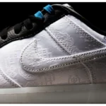 Superb Nike Dunk Low Shoes for Men (SL4576)