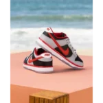 Superb Nike Dunk Shoes for Men (SL4629)
