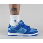 Trendy Nike SB Dunk Low Blue Raspberry Shoes for Men (SOH97)