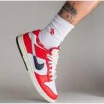 Premium Nike Dunk Low Chicago Split Shoes for Men (AME290)