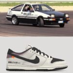 Nike Sb Dunk Brainer First Time In India