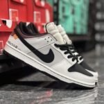 Nike Sb Dunk Brainer First Time In India