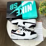 Nike Sb Dunk Brainer First Time In India