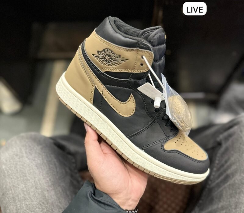 Air Jordan Retro 1 Shoes