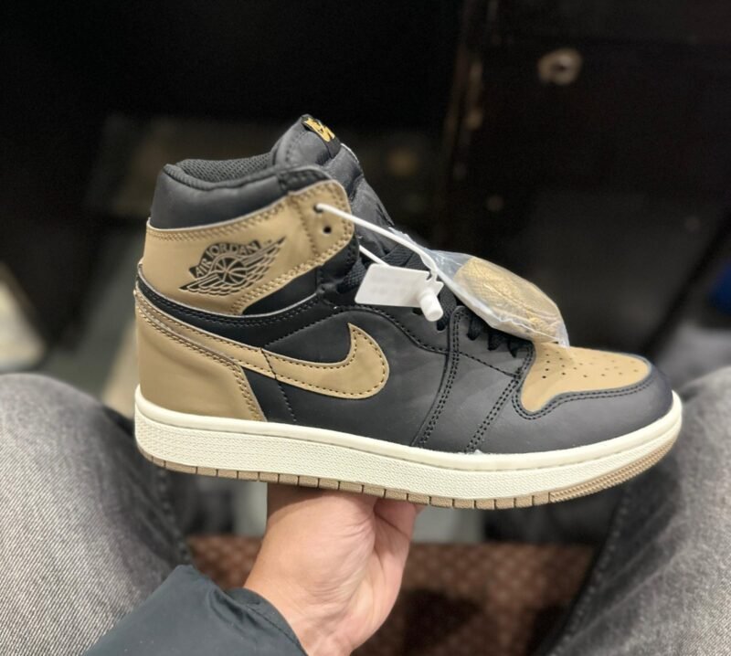 Air Jordan Retro 1 Shoes
