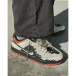 Superb Nike SB Dunk Low Ghost Rider Shoes for Men (SL4493)