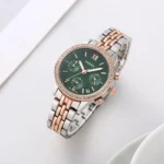 Fossil Watch Cecile For Men (SW1102)