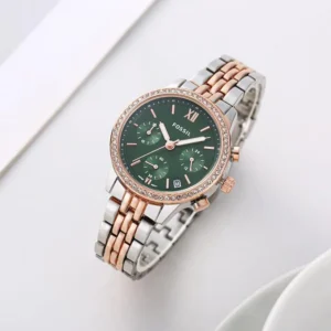 Fossil Watch Cecile For Men (SW1102)