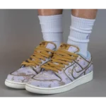 Stylish Nike Sb Dunk Low City Of Style Shoes For Men (HOF965)