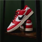 Trendy Nike Sb Dunk Chicago Low Split Shoes For Men (CSO4554)