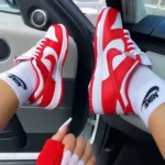 Premium Nike Sb Dunk Low University Red Shoes For Men (HOF845)