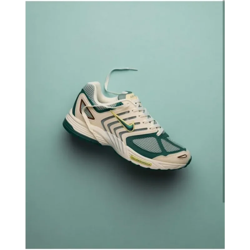 Stylish Nike Air Pegasus 2005 Bicoastal Shoes For Men (SW6171)
