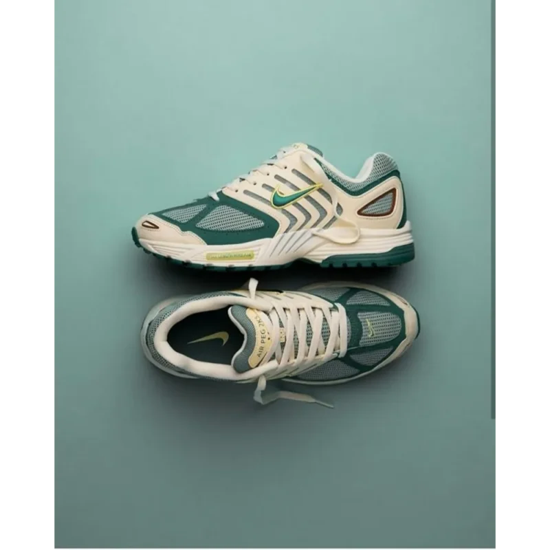 Stylish Nike Air Pegasus 2005 Bicoastal Shoes For Men (SW6171)
