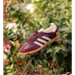Classy Adidas Samba Classic Maroon Shoes For Men (SHH07856)