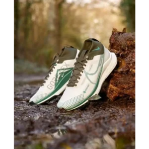 Trendy Nike Pegasus Trail Gore Tex Green Shoes For Men (CSO4508)