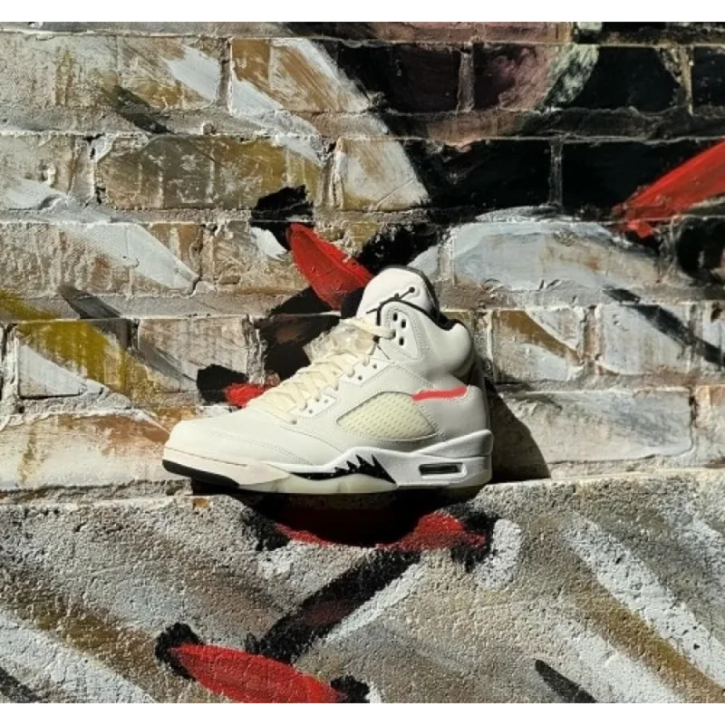 Classy Air Jordan 5 Retro Se Shoes For Men (CSO4188)