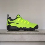 Premium Nike Sb Air Darwin Low Volt Shoes For Men (SW6533)