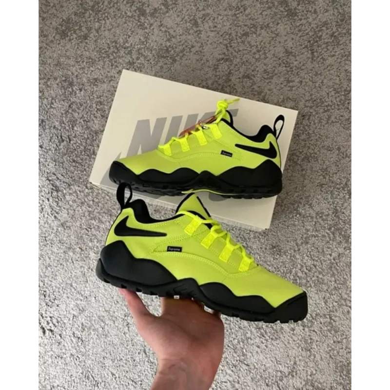 Premium Nike Sb Air Darwin Low Volt Shoes For Men (SW6533)