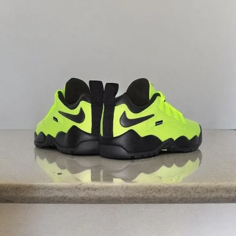 p-26-11-02-40-788786.webp Premium Nike Sb Air Darwin Low Volt Shoes For Men (SW6290)