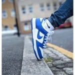Trendy Nike Sb Dunk Low Kentucky Blue Shoes For Men (SHUB711)
