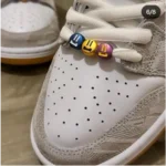 Premium Nike Sb Dunk Low X Rayssa Leal Vivid Purple Shoes For Men (SW6298)