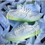 Imported Nike SB Dunk Low Mummy Shoes For Men (SW5923)