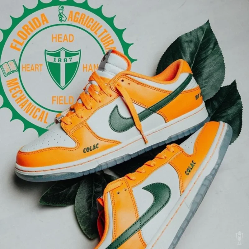 Premium Famu X Nike Dunk Low Florida Shoes For Men (SW5842)