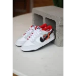 Stylish Nike Sb Dunk Low Gs Shoes For Men (SW5663)