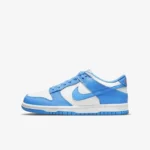 Stylish Nike dunk low coast University Blue Shoes For Men (SFS1220)