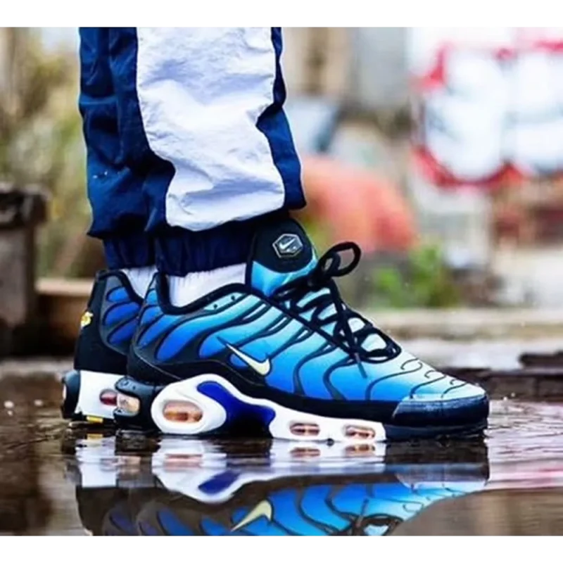 Stylish Nike Air Max Pulse Blue Shoes For Men (TS813)