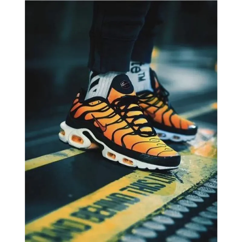 Stylish Nike Air Max Plus Shoes For Men (TS834)