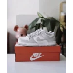 Stylish Nike Sb Dunk Fog Grey Shoes For Men (TS874)