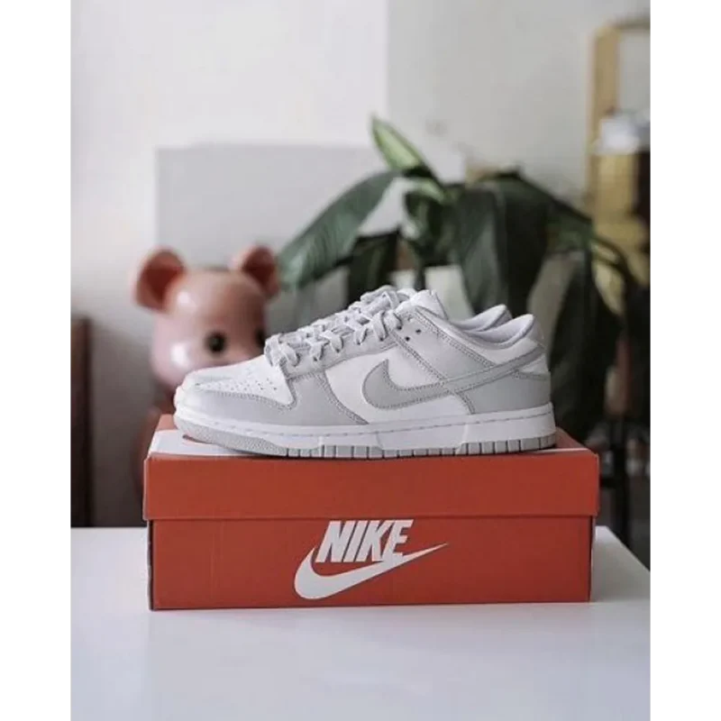 Stylish Nike Sb Dunk Fog Grey Shoes For Men (TS874)