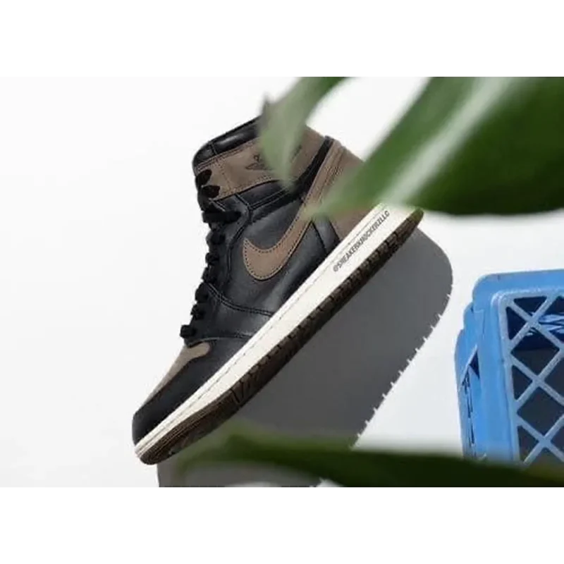 p-photo-2024-09-02-12-11-34-2-12-12-57-457515.webp Trendy Air Jordan Retro 1 High Palomino Shoes For Men (BSF1218)