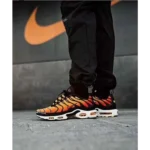 Premium Nike Air Max Plus Shoes For Men (BME149)