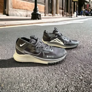 Trendy Nike Pegasus Trail 4 Gore Tex Shoes For Men (SFS1582)
