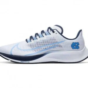 Trendy Nike Pegasus 37 Shoes For Men (FF726)