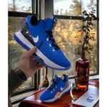 Stylish Lebron Witness V Shoes For Men (BSF1029)